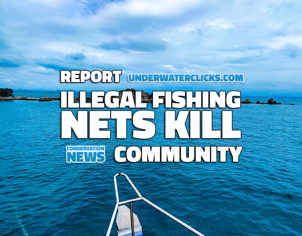 ILLEGAL FISHING NETS KILL