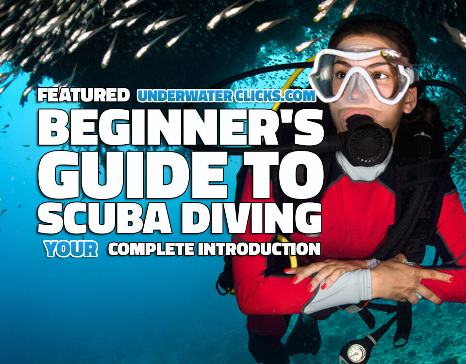 Beginners Guide To Scuba Diving A Complete Introduction Underwater Clicks 2297